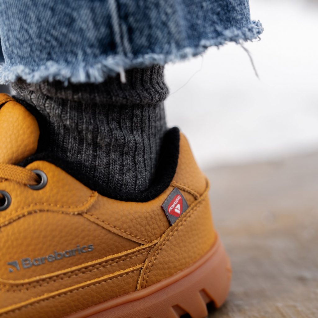 Transition from Winter to Spring